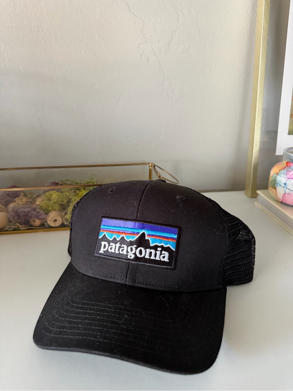 Patagonia Trucker Hat